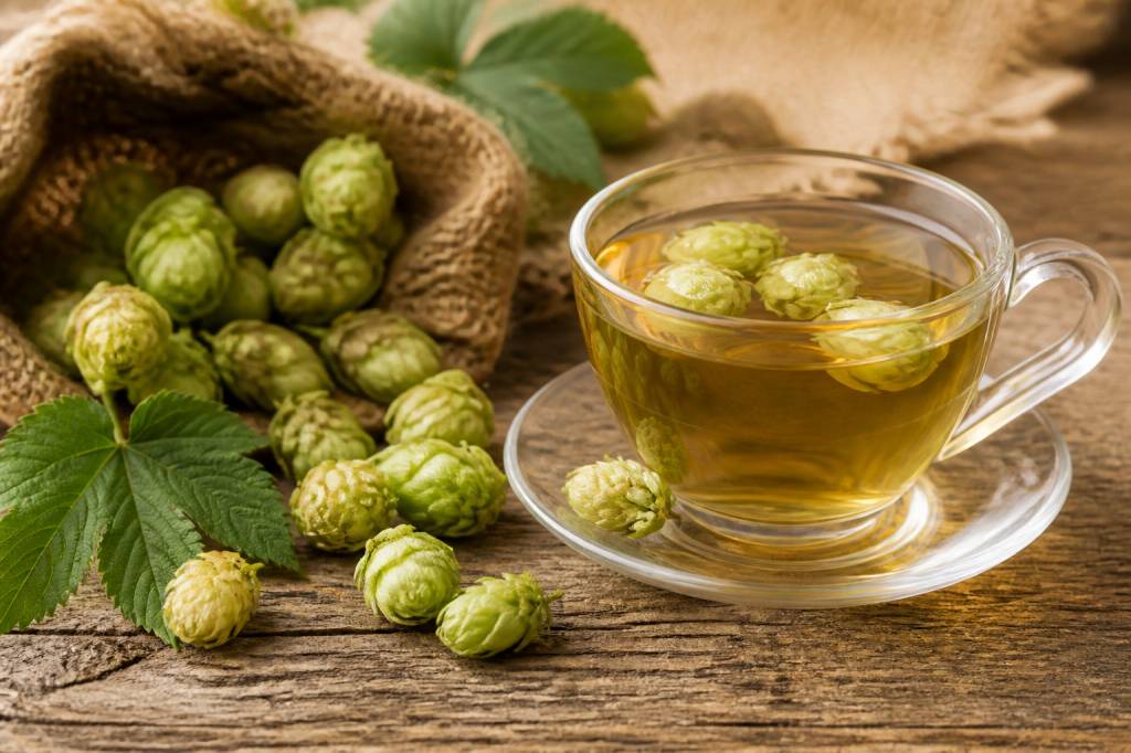Tisane de houblon bienfaits : propriétés, préparation et conseils d’utilisation